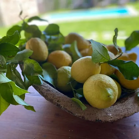 Mariana's Heartmade House *