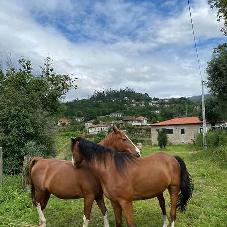 בית כפרי Mariana's Heartmade House קאלדלאס