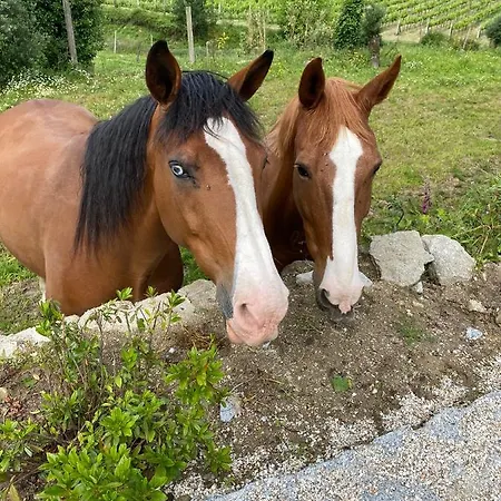 Mariana's Heartmade House בית כפרי קאלדלאס