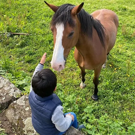 Mariana's Heartmade House *