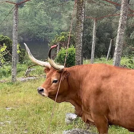 Mariana's Heartmade House