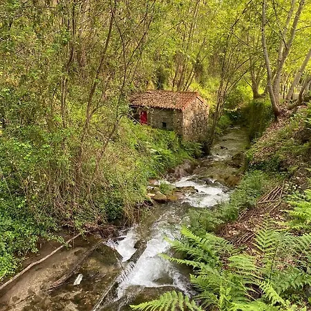 Mariana's Heartmade House Caldelas