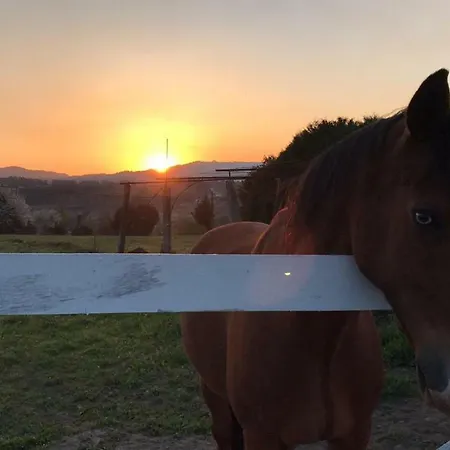 Mariana's Heartmade House Caldelas