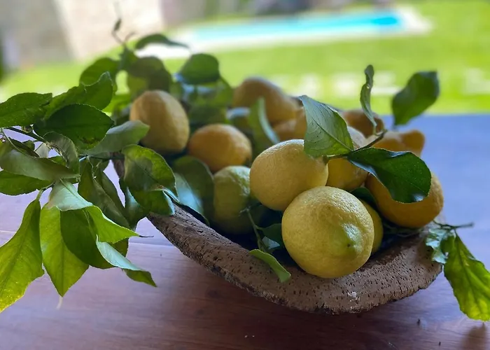 Mariana's Heartmade House *