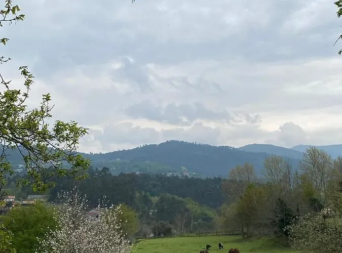 Mariana's Heartmade House