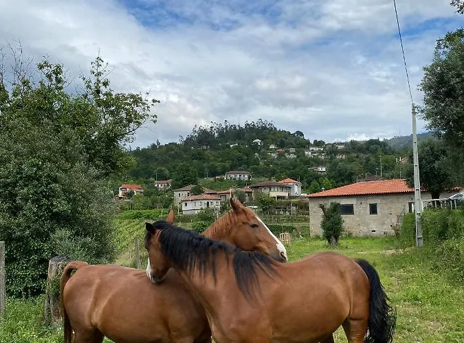 Casa di campagna Mariana's Heartmade House Caldelas