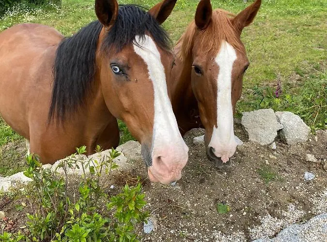 Mariana's Heartmade House Gospodarstwo wiejskie Caldelas