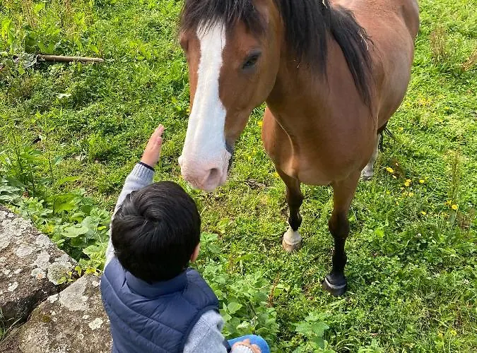 Mariana's Heartmade House *