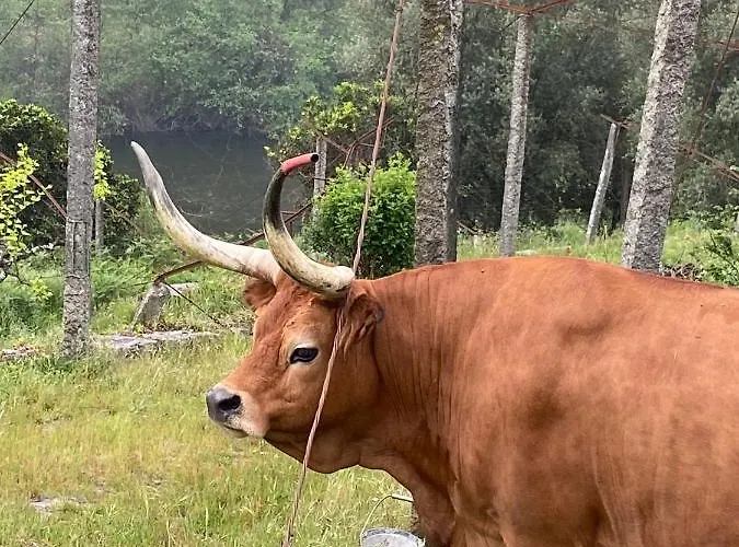 Mariana's Heartmade House