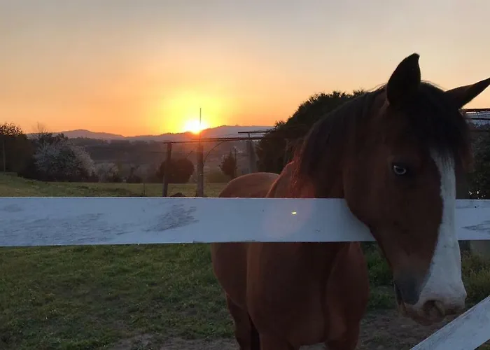 Mariana's Heartmade House Caldelas